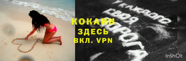 ALPHA PVP Инта