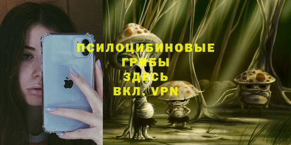 mix Иннополис
