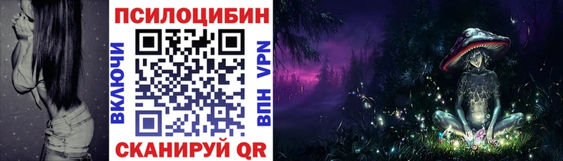 где купить Ковылкино Галлюциногенные грибы Magic Shrooms